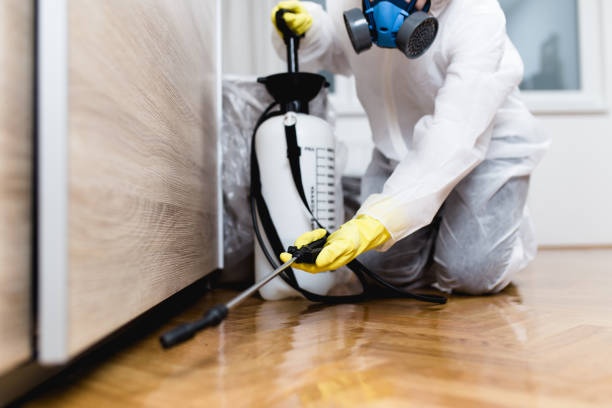 Best Exterminator Services  in Olivet, NJ