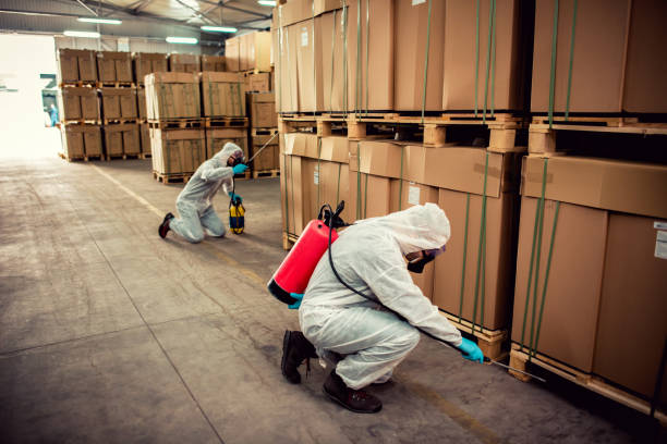 Trusted Olivet, NJ Pest Control Experts