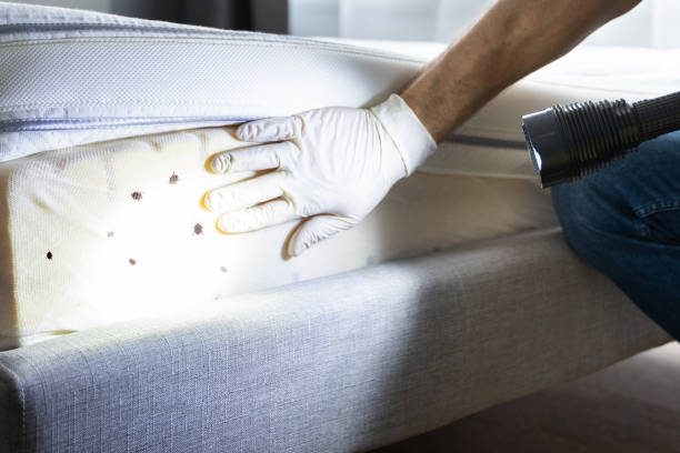Best Local Pest Control Services  in Olivet, NJ